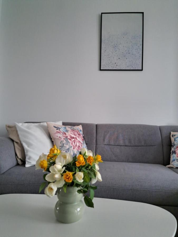Apartmán Apartament Onestilor Oradea Exteriér fotografie
